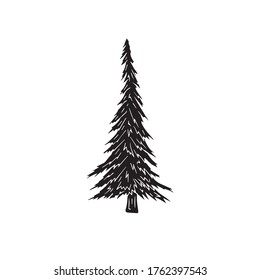 Vector black hand drawn doodle sketch spruce tree isolated on white background
