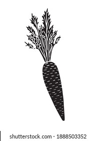 Vector black hand drawn doodle sketch carrot isolated on white background