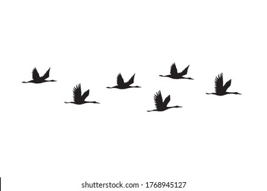 Vektor schwarz gezeichnete fliegende Krane Vögel Silhouette-Herde einzeln auf weißem Hintergrund