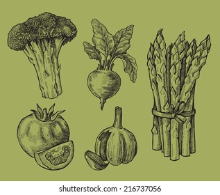 vector black hand drawn illustration of vegetables