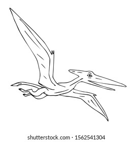 Vector black hand drawn outline sketch flying pterodactyl dinosaur isolated on white background