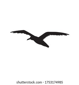 Vector black hand drawn sketch flying seagull silhouette isolated on white background