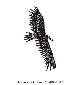 Vector black hand drawn sketch flying griffon vulture bird isolated on white background