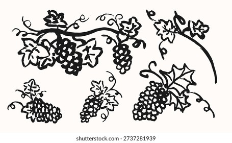 Vector black  hand drawn sketch illustration of grape collection isolated on white background. Set of design elements with grapes and leaves.
