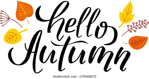 vector black hand-drawn lettering hello autumn with colored yellow and orange leaves

