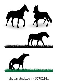 vector black horse