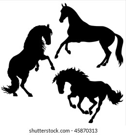 vector black horses