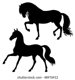 vector black horses isolated on a white background