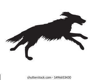 Vector black hunting setter dog silhouette isolated on white background