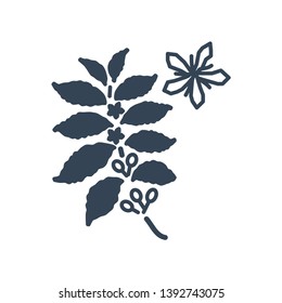 vector black icon coffee tree, plant with flowers