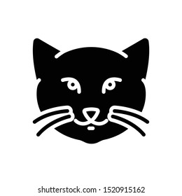 Vector black icon for kitty cat
