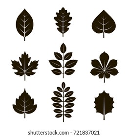 Vector black icon set of tree leaves on white background