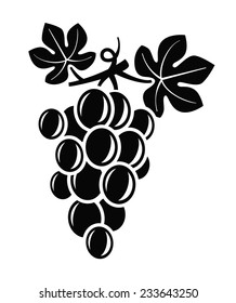 vector black illustration of grapes on white