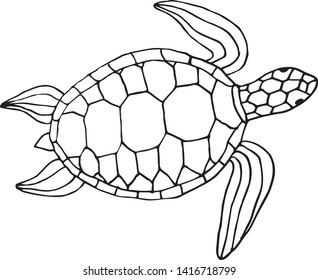 Vector black ink hand drawn sketch doodle sea turtle isolated on white background 