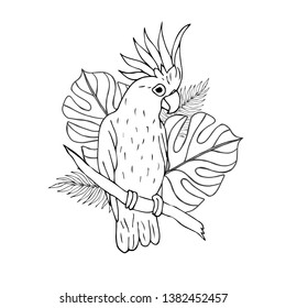 Vector black ink line hand drawn cockatoo parrot sitting with palm leaves isolated on white background 