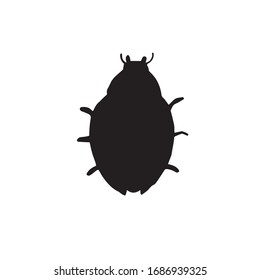 Vector black ladybug silhouette isolated on white background