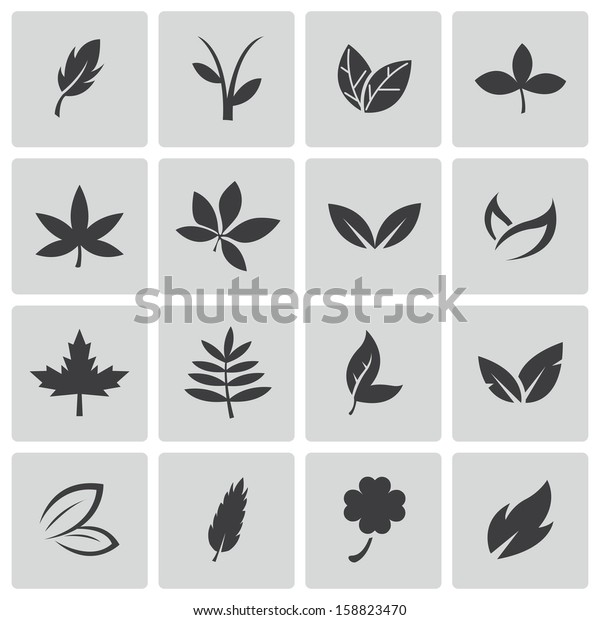 Vector Black Leaf Icons Set Stock Vector (Royalty Free) 158823470