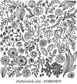 Vector black line art flowers leaves berries floral wedding botanical elements