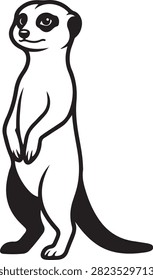 Vector black line art illustration featuring an alert standing meerkat Suricata suricatta looking around on sentinel guard watch, isolated on a white background.
