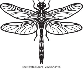Vector black line art illustration featuring a top view dragonfly Anisoptera insect showing transparent veined spread wings, segmented body, and compound eyes, isolated on a white background.
