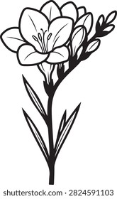 Vector black line art illustration featuring a blooming freesia flower stem with open petals, unopened buds, and slender leaves, isolated on a white background.
