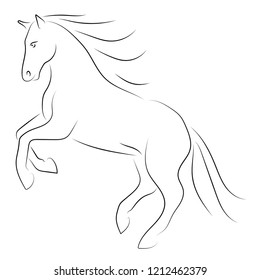 Vector black line horse on hind legs on white background.