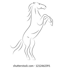 Vector black line horse on hind legs on white background.