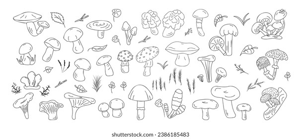 Iconos de la línea negra vectorial setas del bosque de diferentes tipos comestibles e incomestibles. Hierbas forestales, hojas. Hongos de gama negra para la cubierta, impresión, decoración de libros, pegatinas postales elemento web