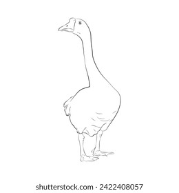 Vector black line illustration of a goose isolated on white background