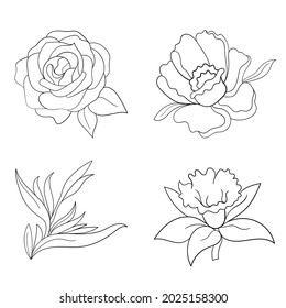 Vector black line illustration graphics flowers: peony, rose, daffodil with colors stains