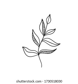Vector black line illustration of leaf