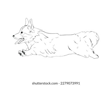 Vector black line illustration of running Pembroke Welsh Corgi  dog isolated on white background