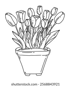 Vector black line of tulip flower plant in flower pot. Coloring book design, minimalism, home decoration