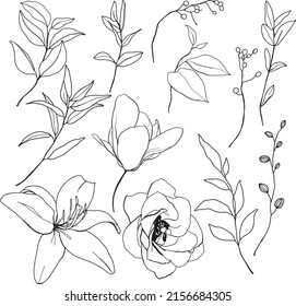 Vector black linear set of lily, magnolia and rose. Hand painted meadow flowers and leaves isolated on white background. Floral illustration for design, print or background.