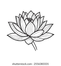 Vector black lotus icons set on white background. Lotus plant. Lotus flower, Set of three silhouettes of lotus flowers. Vector illustration.