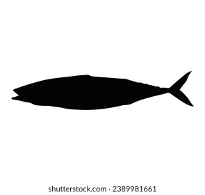 Vector black mackerel fish silhouette isolated on white background.