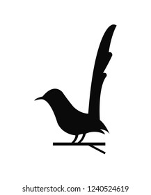 Vector Black Magpie  Design Template Icon