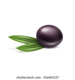Vector Black Olive with Leaves Isolated on White Background