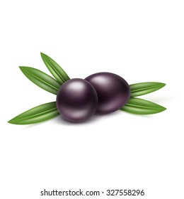 Vector Black Olives Branch with Leaves Isolated on White Background