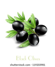 Aceitunas negras vectoriales aisladas en un fondo blanco