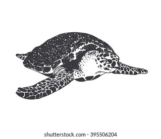 Vector Black on white illustration. large sea turtle.