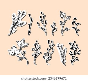 vector black on white stickers Branches. Twigs maple, aspen, coniferous, herb illustration. Hand drawn branches on white background. Design element for natural and organic designs.