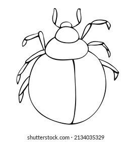 Vector black outline abstract beetle in doodle style. Contoured bug, insect, isolated. Clipart, design element on theme of nature, spring, summer. Template for children's creativity, coloring page