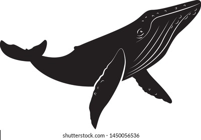vector black outline blue whale swim