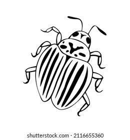 Vector black outline colorado beetle in Doodle style. Bug with stripes on its back, with antennae and legs, top view. Simple illustration, clip art, isolated