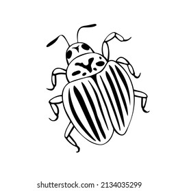 Vector black outline colorado beetle in Doodle style. Bug with stripes on its back, with antennae and legs, top view. Simple illustration, clip art, isolated