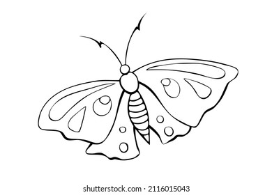 Vector black outline cute butterfly in Doodle style. Simple outline design element, clip art for spring, summer
