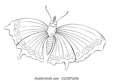 Vector black outline of cute butterfly in doodle style. Simple design element, clipart for spring, summer, postcard, coloring book