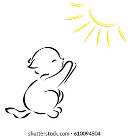 Vector black outline drawing of a cat in the sun on a white background