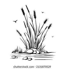 Vector black outline drawing. Desert steppe plants, feather grass, bushes, algae, pampas bunches. Nature, prairie landscape